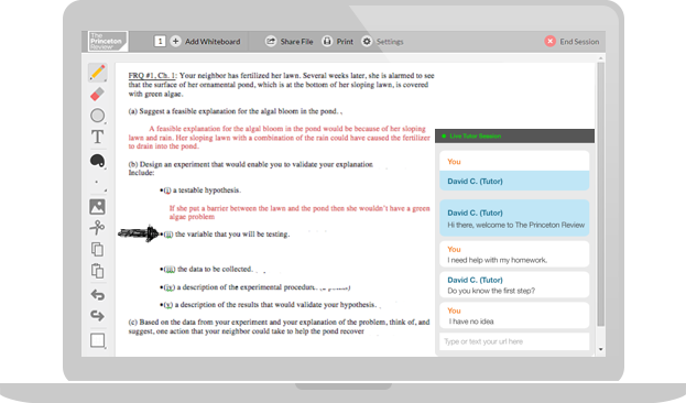 Middle Grades Science Homework Help Session