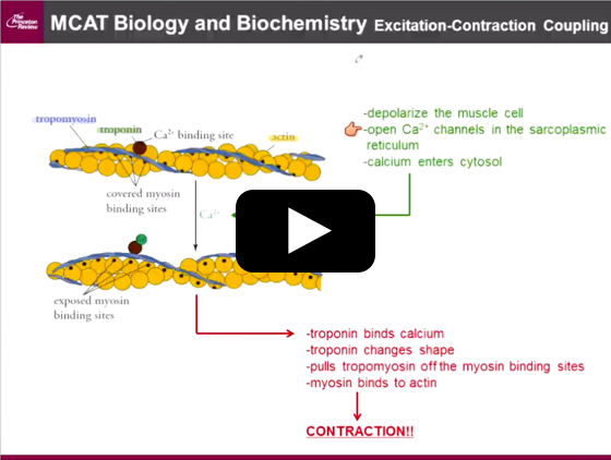 The Princeton Review MCAT Courses: Biology & Biochemistryo