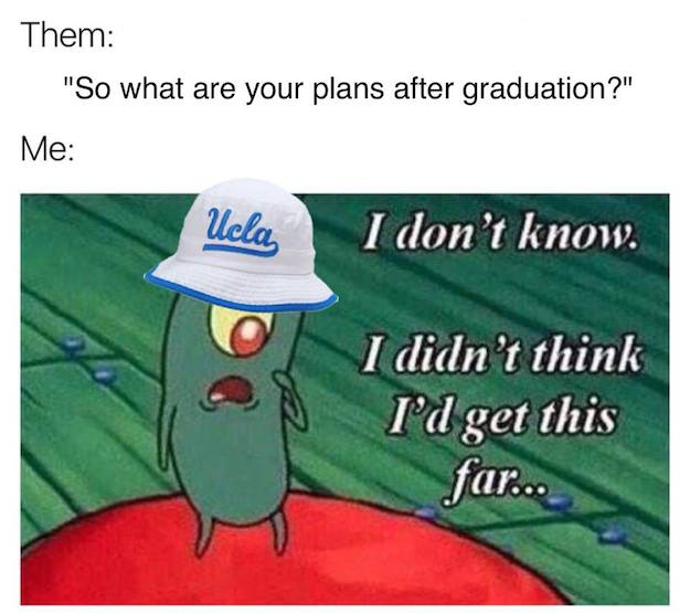 UCLA meme
